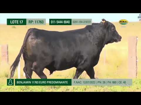 16-08-24 - Remate de Cabaña Don Benjamín - Consignatarios Daniel Biocca-   Marcos Achaval