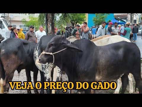 FEIRA DE ANIMAIS DE UMBUZEIRO PARAÍBA 18/07/2026 