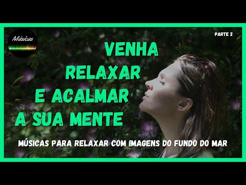 MÚSICAS PARA RELAXAR | FUNDO DO MAR | Vol. 2