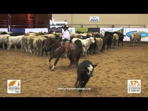 SDP Blue Blood ridden by Matt Koch - 2015 NRCHA Celebration of Champions (Herd - WGH)