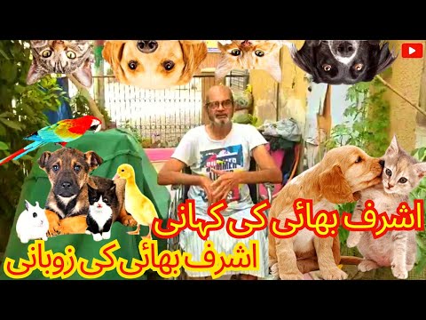 Ashraf bhai | Pets Takecare ki kahani 🦮🐈 | Ashraf ki zubani