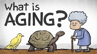 What is Aging?