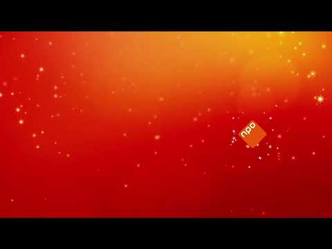 NPO 1 ident – STER (Feestdagen)