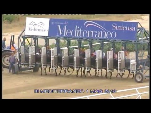 Galoppo Corse del 01 Maggio  2016