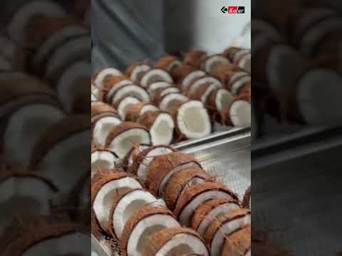 #COPRA DRYER MACHINE #COCONUT DRYER #DRY FRUIT MAKING MACHINE #KOLAR