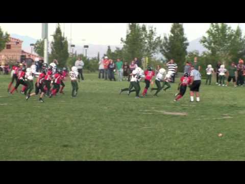Hurricanes vs Falcons (2010 Spring Championship)