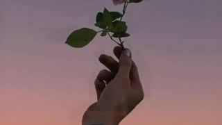 Download lagu Quotes story wa keren do'a untuk mu yang disana mp3 Download lagu Quotes story wa keren do'a untuk mu yang disana mp3