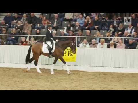 Fusionist und Greta Heemsoth - 29. PB-Schau in Verden