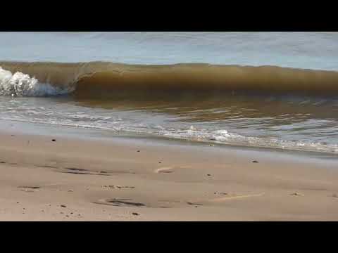 Meine kleine Karibik, vor der Haustür