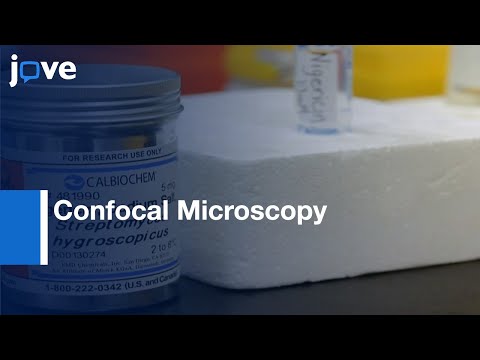 Simultaneous pH Measurement In Endocytic & Cytosolic Compartments In Living Cells l Protocol Preview