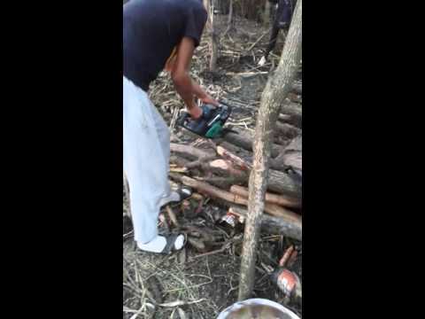 Cel mai tare drujbist din nasturelu