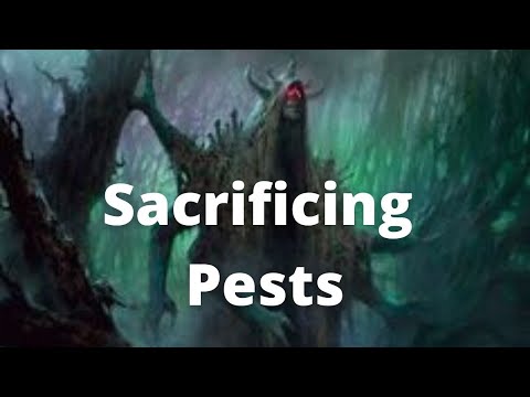 Witherbloom Again- Mtg Arena Standard Deck Guide