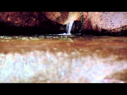 أين المفر ديمة بشار