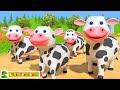 Five Little Cows Learn To Count 5 With Baby Song By Little Treehouse