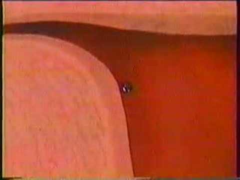 THE SECRET OF LIFE -PART-1