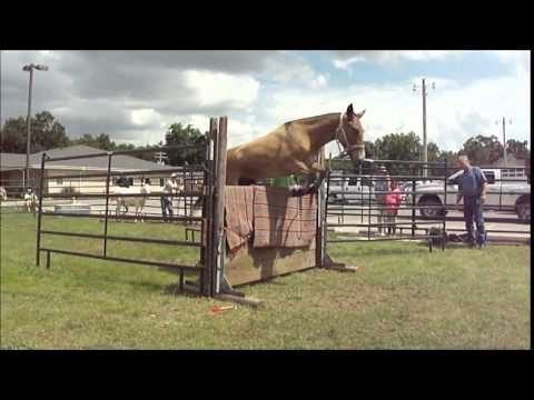 OZARK HERITAGE FESTIVAL 2014 - Mule Jump Highlights
