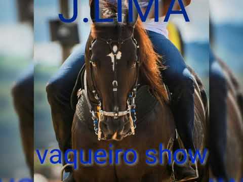 playboy da Cidade ( Júnior Vianna )