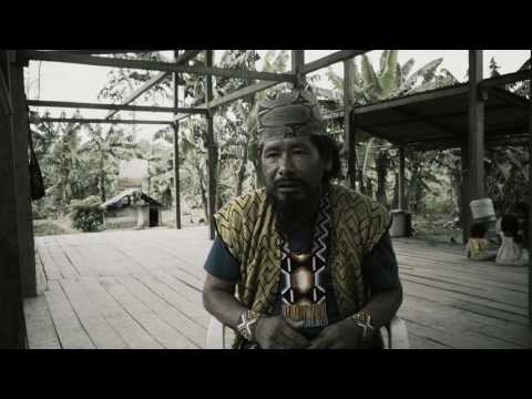 The Huni Kuin science of Ayahuasca - Txana Ixã - MappingMedicine#005