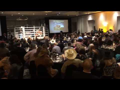 $380,000 Longhorn Cow