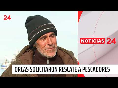 Pescadores de Coronel protagonizan emocionante rescate de una orca  | 24 Horas TVN Chile
