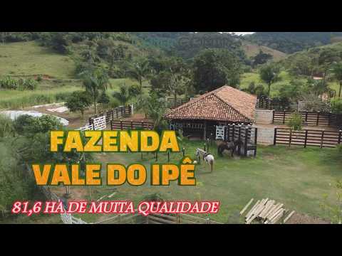 Cener Imóveis 3031 Fazenda Vale do Ipê com 81 ha por 2 500 000,00 na reg  de Bicas MG