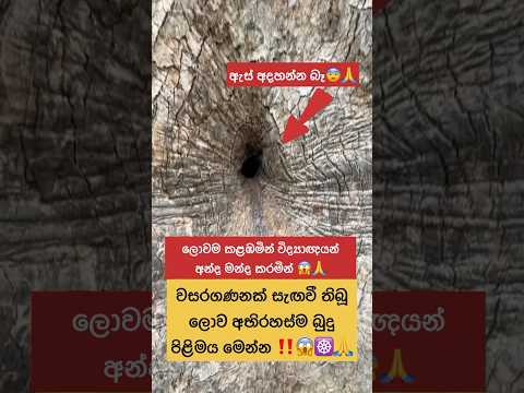 ලොවම කැලඹූ ලොව අත්භූතම බුදු පිළිමය😨කොහොමද එහම වුනේ☸️🙏