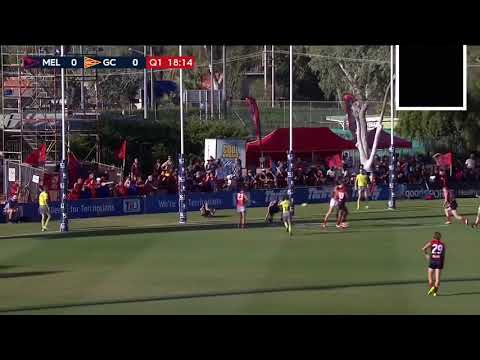 Goal umpire cops a falcon- round 10 2017