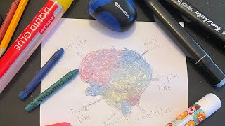 Boss Babe Nickie|Help dom with his project for school pt3| making a brain 🧠 mold for school
