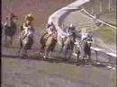 1993 Breeders' Cup Classic