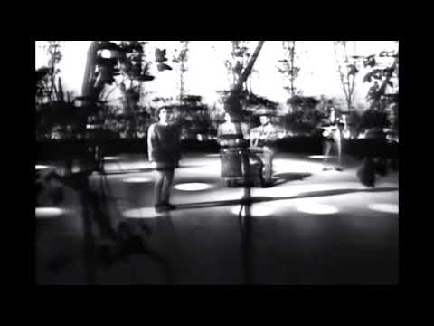 The Tokens - The Lion Sleeps Tonight (1961)