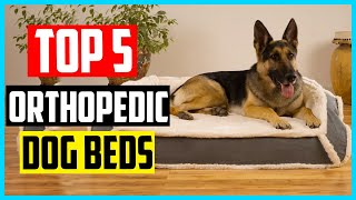 ✅ The 5 Best Orthopedic Dog Beds Review of 2024