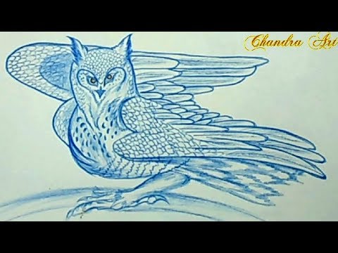 Cool Easy Pencil Drawing - How To Draw a Great Horned...