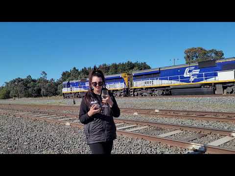 CM3315 and CM3311 Freight Train