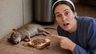 Kills Rats in 5 Seconds! Get Rid of Rats Without Poison (Homemade Recipe)