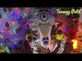 Gauri Ganpati At My Home 2024