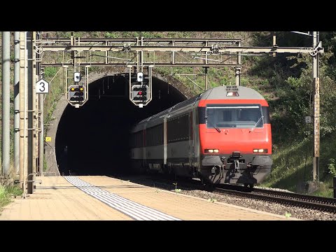 IR 37 nach Basel und Cargo 620 mit Güterzug