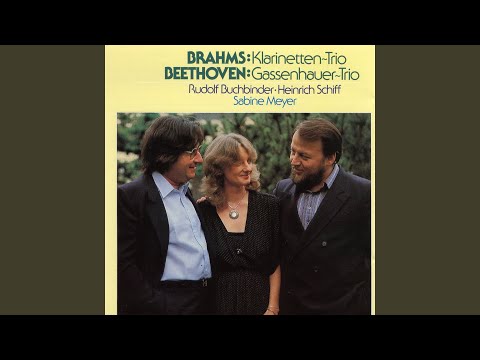 Piano Trio No. 4 in B-Flat Major, Op. 11 "Gassenhauer": I. Allegro con brio