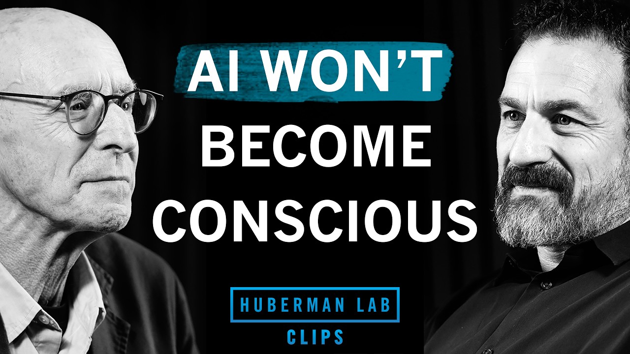 Why AI Won't Become Conscious | Michael Pollan & Dr. Andrew Huberman