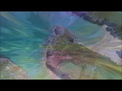 Viento del Norte (Nando Agüeros)_Con letra