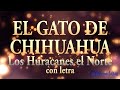 El gato de chihuahua - Los Huracanes del Norte (rolas con letra/lyric)