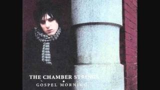 The Chamber Strings - Flashing Star