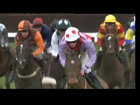 2010 Christies Foxhunters Chase - Cheltenham Festival