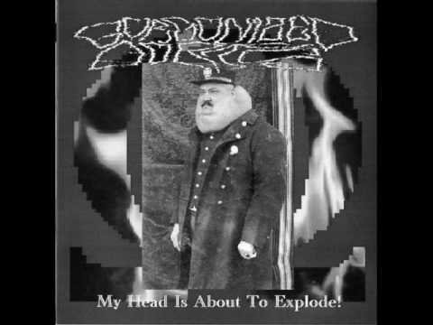 GORGONIZED DORKS (7MON) split EP