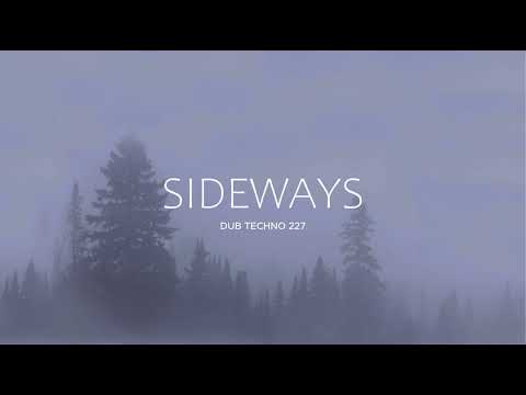 DJ SIDEWAYS - DUB TECHNO SESSION - 227 - DVS VINYL.