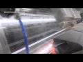 Maize Color Sorter Aj Colorsort Cn SELECTORA POR COLOR