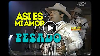 1995 - ASI ES MI AMOR - Pesado - En Vivo - Integrantes Originales -