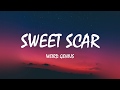 Weird Genius Sweet Scar Lyrics Ft Prince Husein
