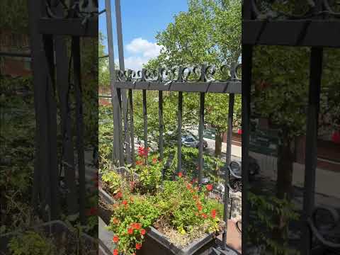video 1