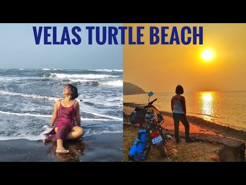 Velas Turtle Beach| Bankot Fort | Velas Beach | Kokan trip| Velas Homestay| Day 1&2