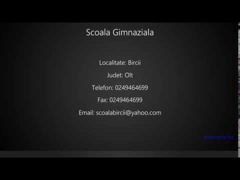Scoala Gimnaziala Bircii